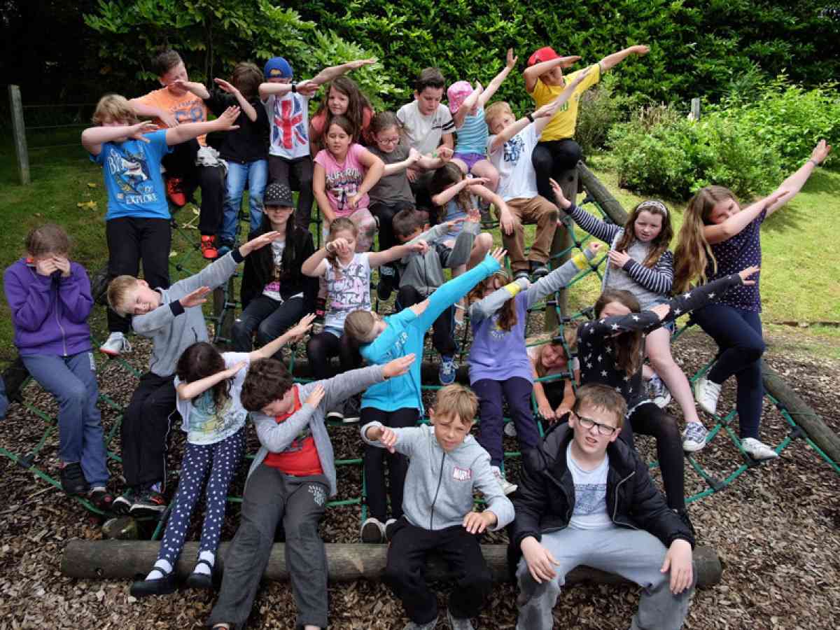 Robin Hill Adventure Park picture gallery